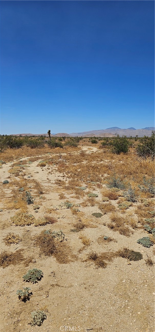 0 Longhorn Avenue Mojave, CA 93501 - Photo 3 of 5