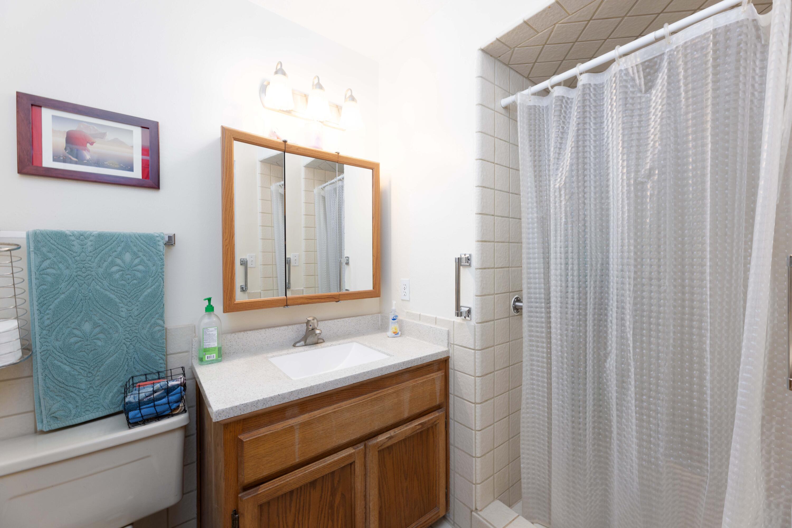 8790 Redbank Road Redding, CA 96001 - Photo 11 of 21 a bathroom with a sink and a mirror