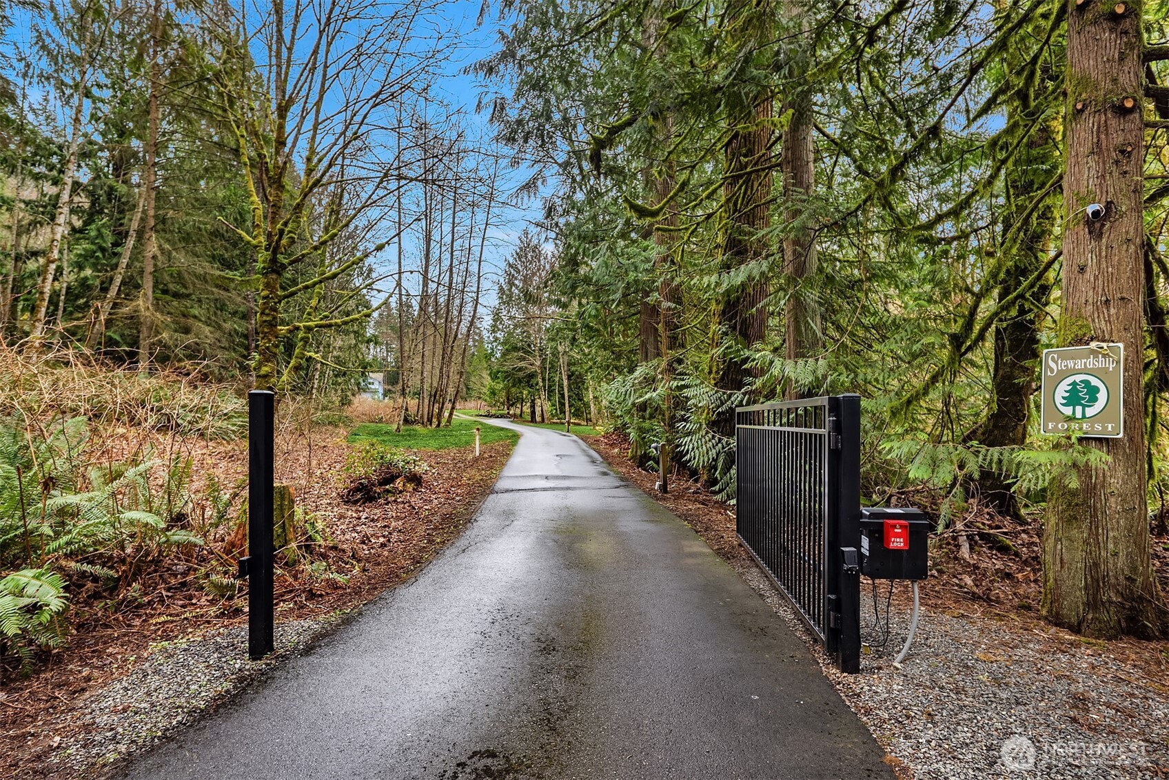 21407 Northeast Union Hill Road Redmond, WA 98053 - Photo 4 of 40 a view of a street with the trees