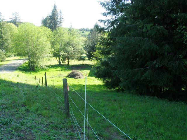 Tl#1102 Hurliman Hill Road Tillamook, OR 97141 - Photo 10 of 15 P5071212
