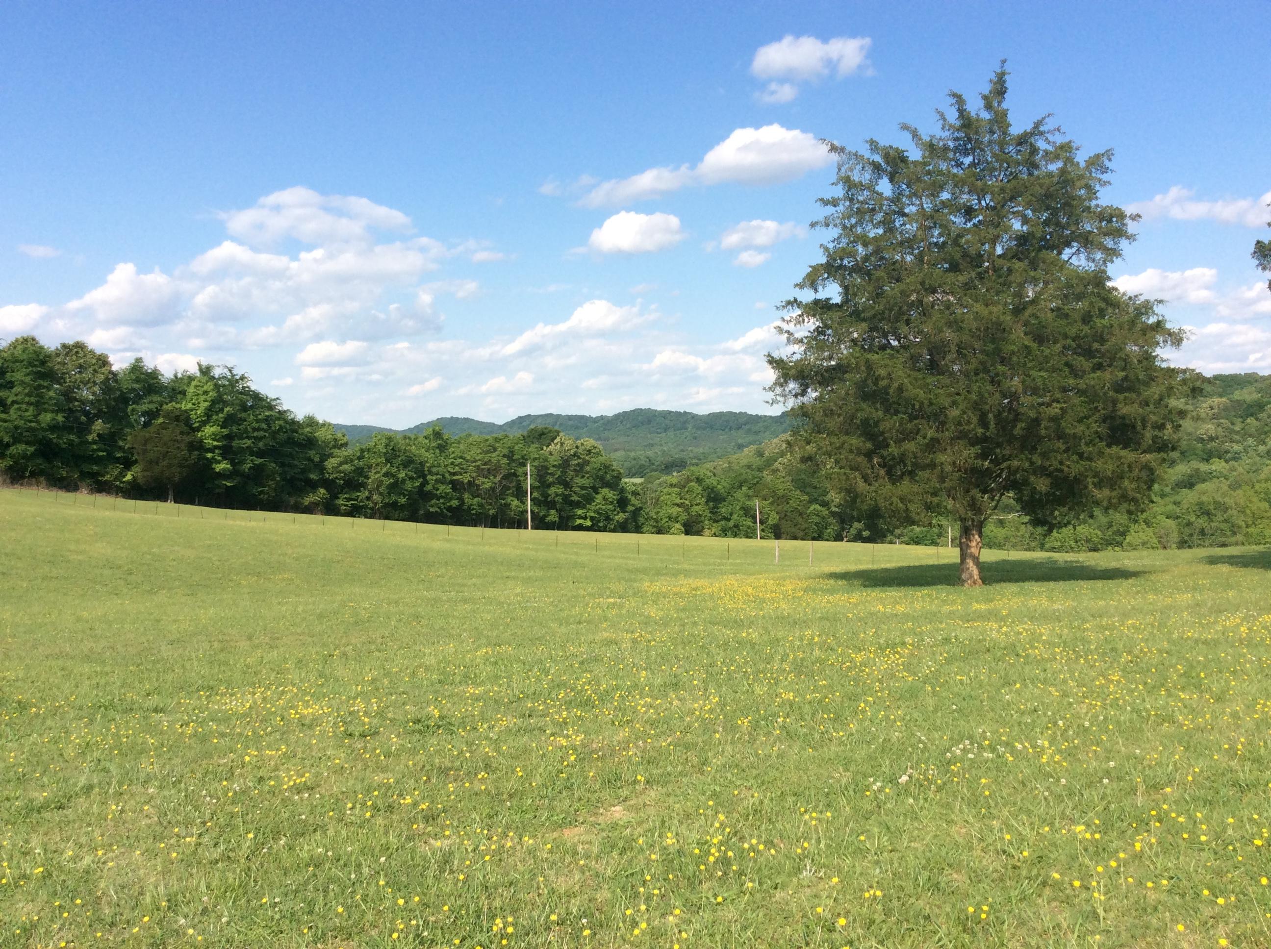 356 Scott Street Charleston, TN 37310 - Photo 41 of 43 View of Mountains