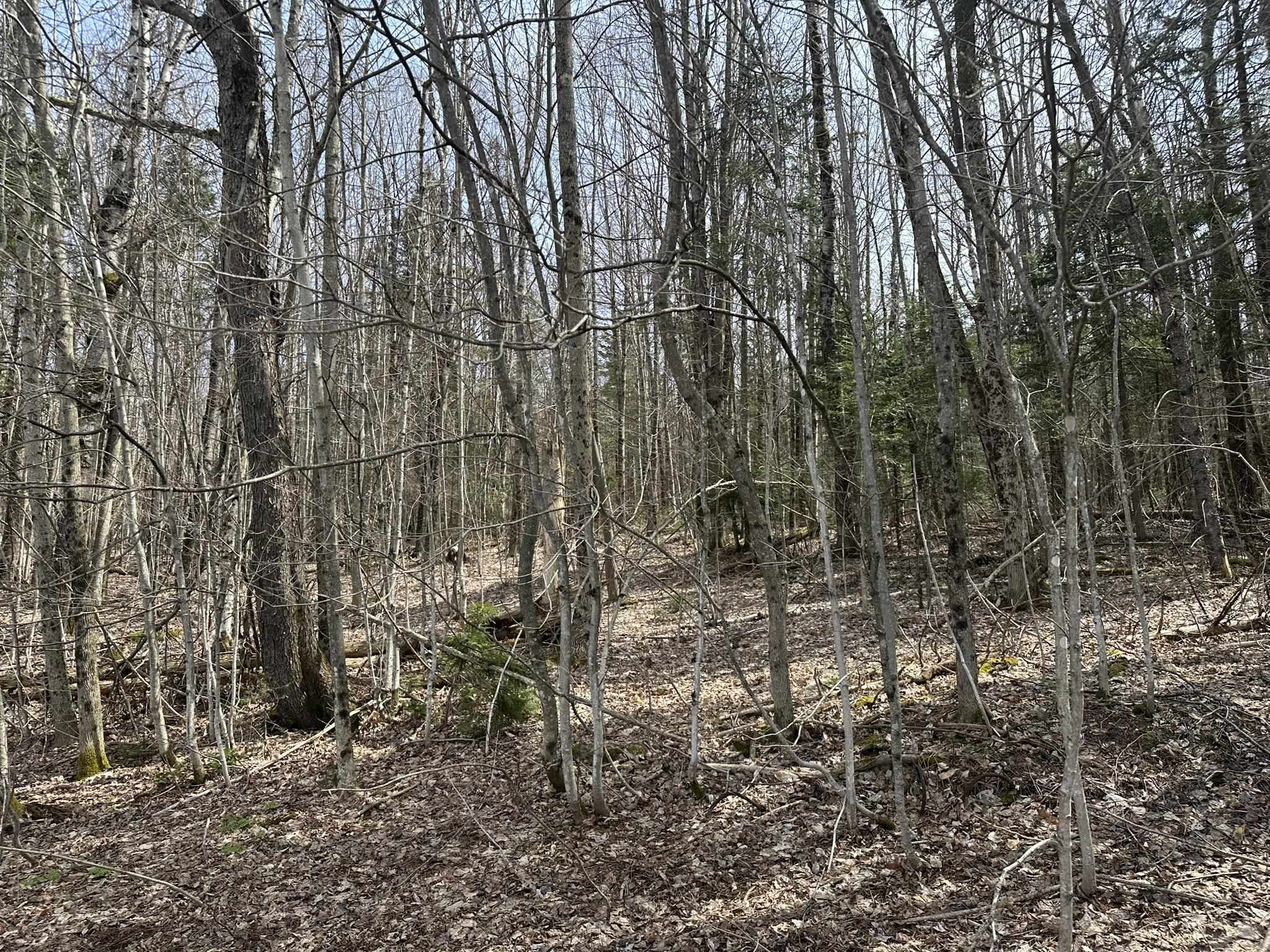 0 West Woodbury Road, Unit 112 Hardwick, VT 05843 - Photo 8 of 12