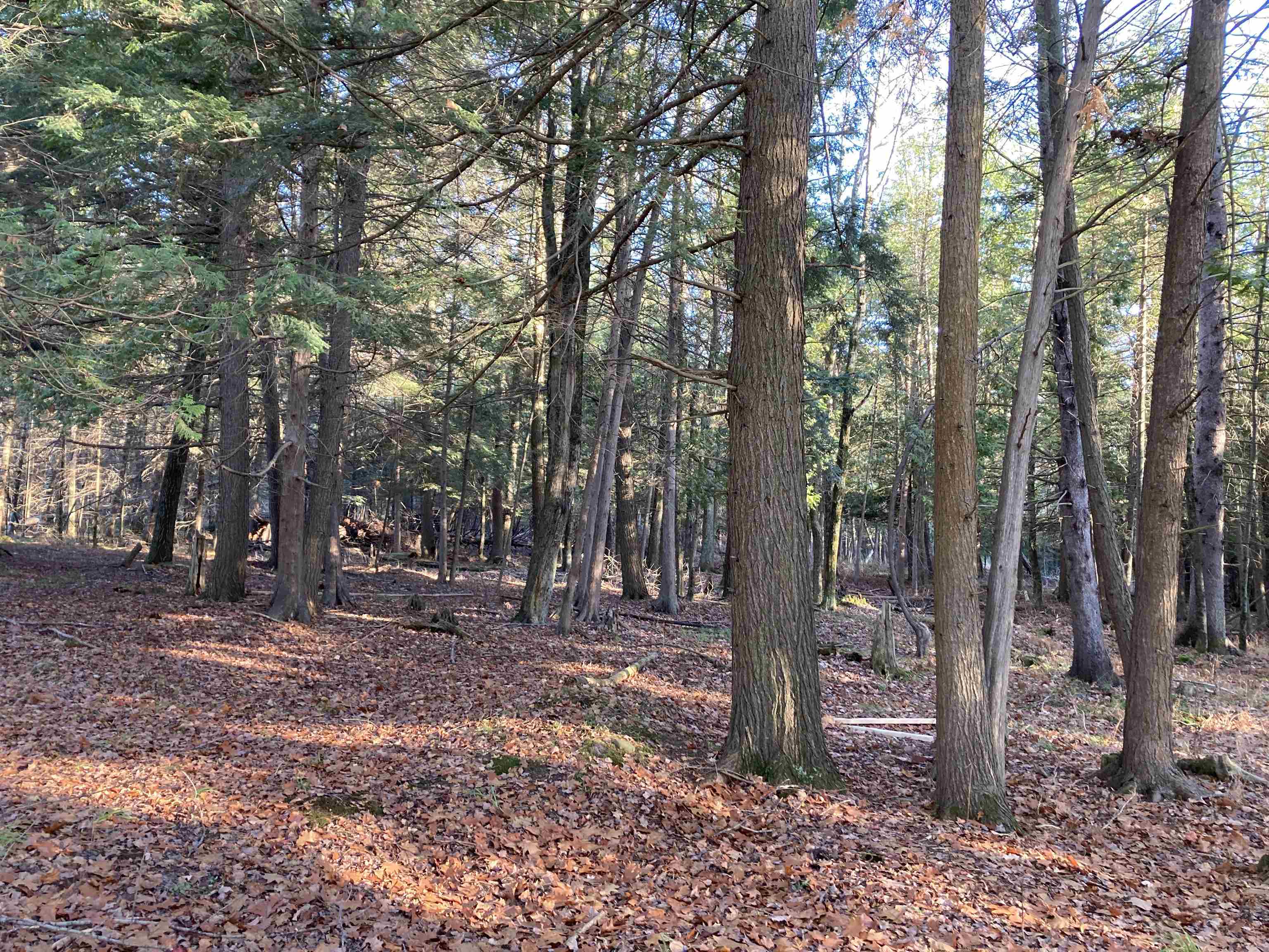 N/a Heath Road Lupton, MI 48635 - Photo 22 of 42 1928926-4b762275-ff66-4081-9f7a-f7032ed5decc.JPG