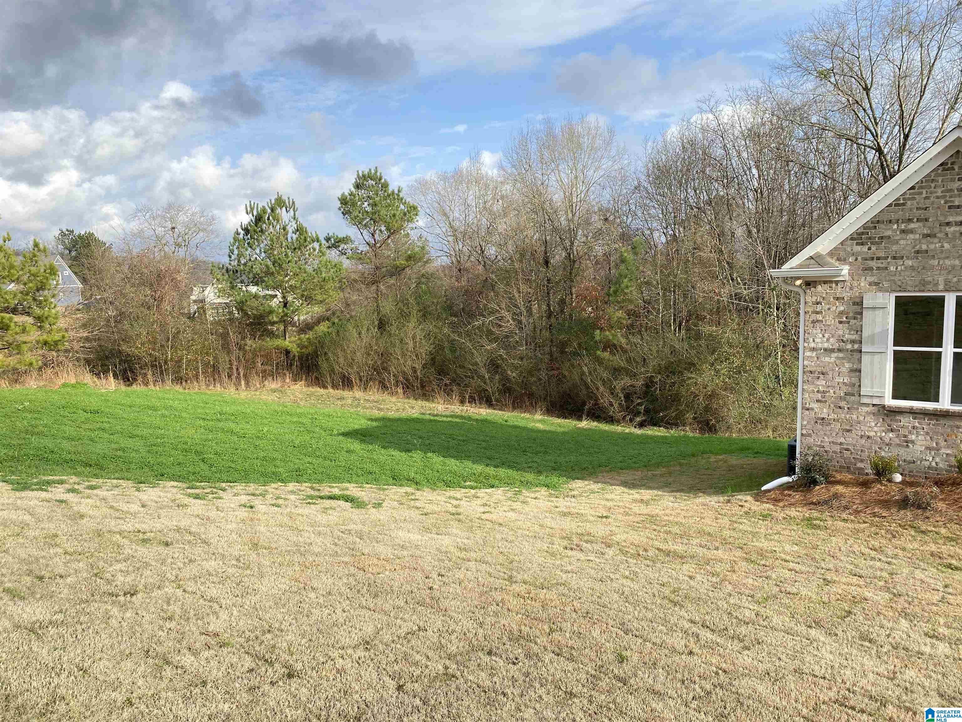 225 Cottage Court Springville, AL 35146 - Photo 2 of 37