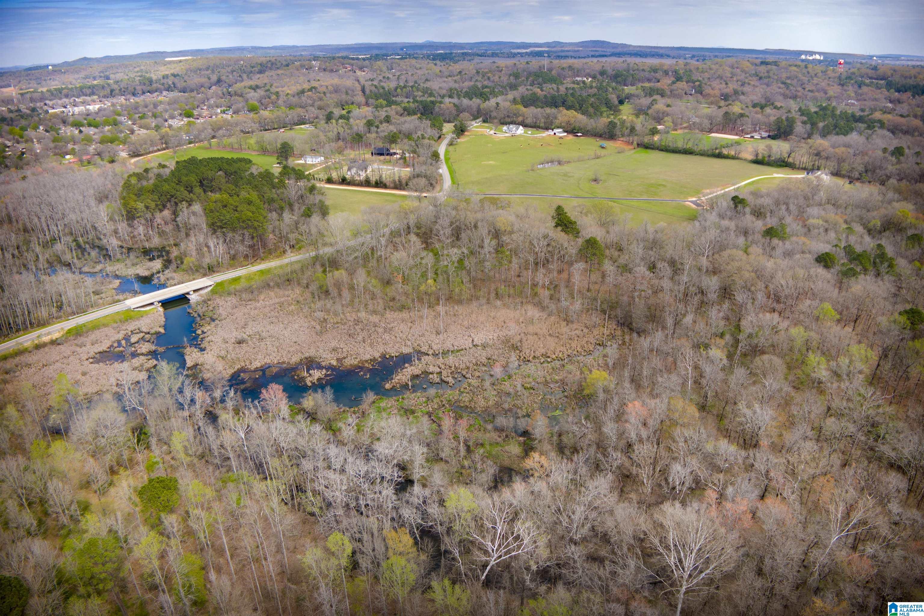 850 County Road 24, Unit 1B Montevallo, AL 35115 - Photo 18 of 24