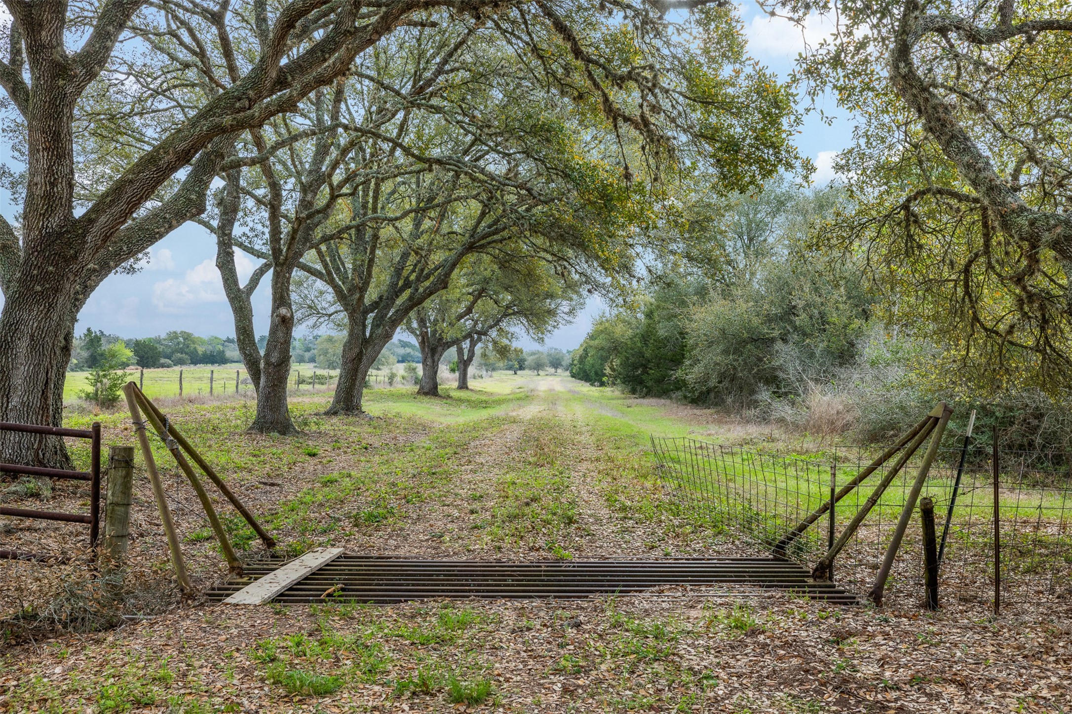 1017 New Ulm Road Cat Spring, TX 78933 - Photo 18 of 25