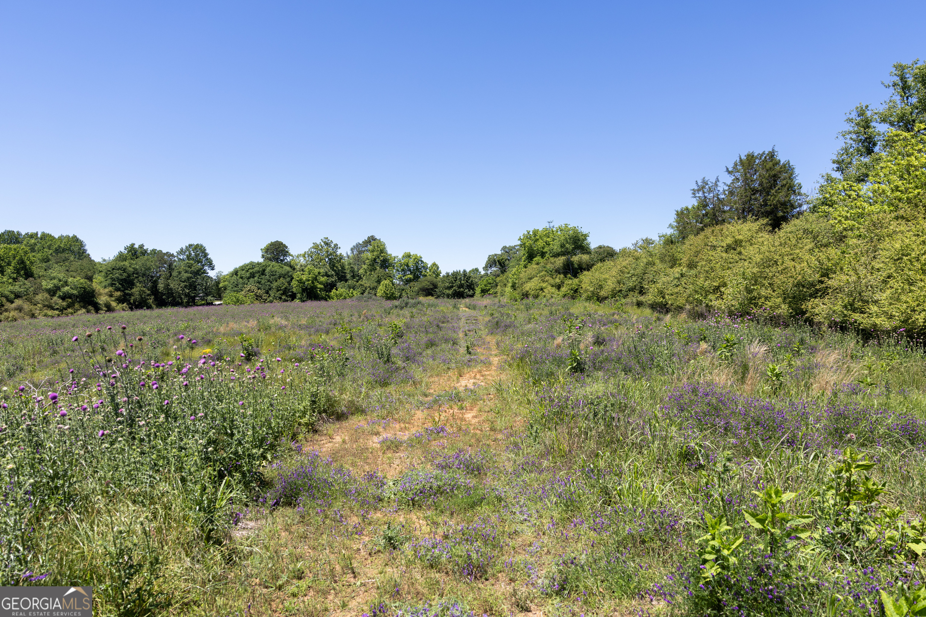 3600 Pea Ridge Road Cornelia, GA 30531 - Photo 9 of 11 a view of a field with trees in the background