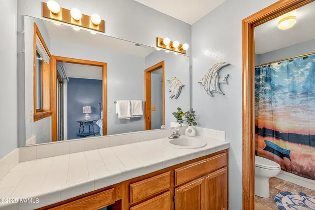 an aerial view of a house with a garden and lake view