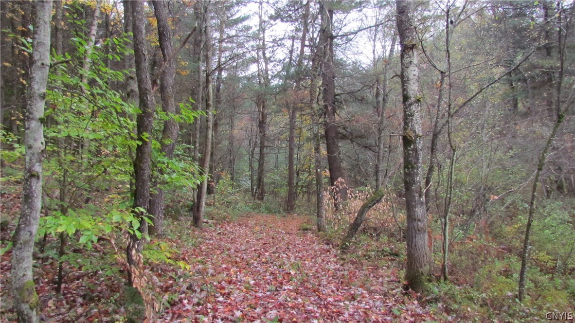 0 North To South Road Brantingham, NY 13312 - Photo 13 of 20 Gallery Image 13