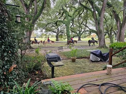 $1,490,000 | 315 Walnut Street, New Orleans, LA 70118