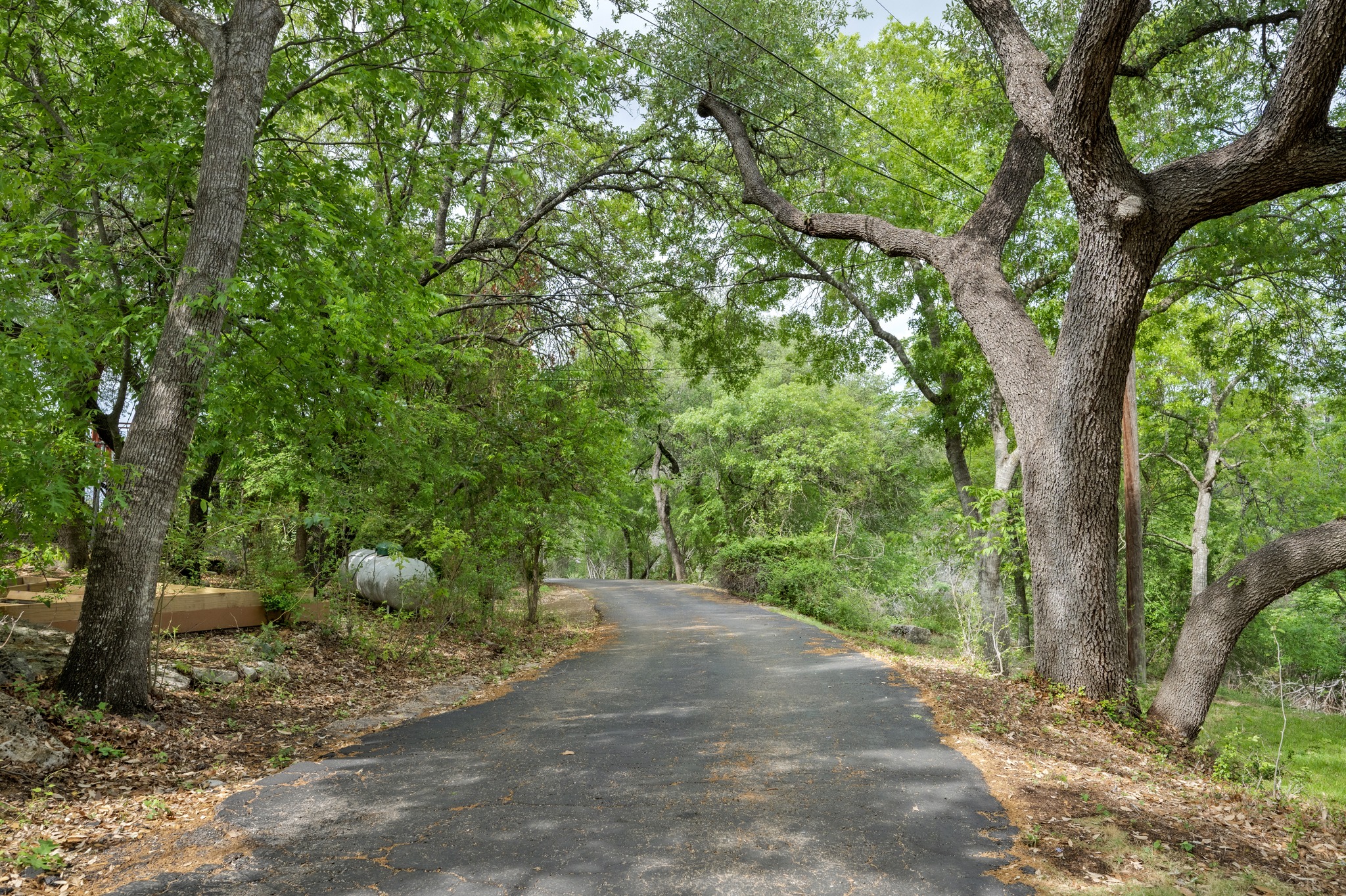 4831 Eck Lane Austin, TX 78734 - Photo 20 of 27 a view of a trees with a tree