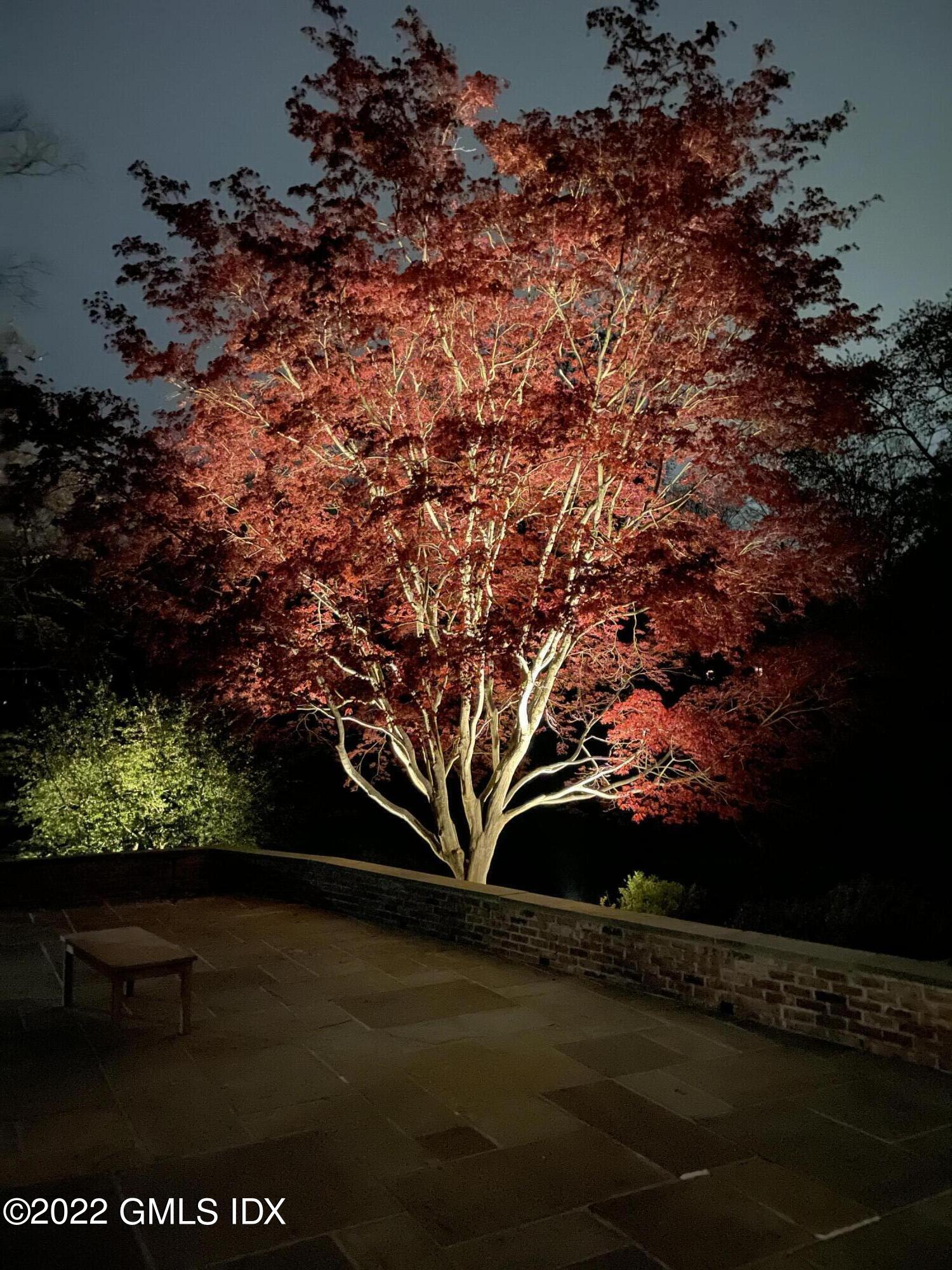 144 Pecksland Road Greenwich, CT 06831 - Photo 43 of 49 a view of tree in front of a house