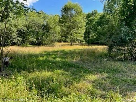 1 North Milford Road East Highland, MI 48356 - Photo 2 of 11 image7.jpeg