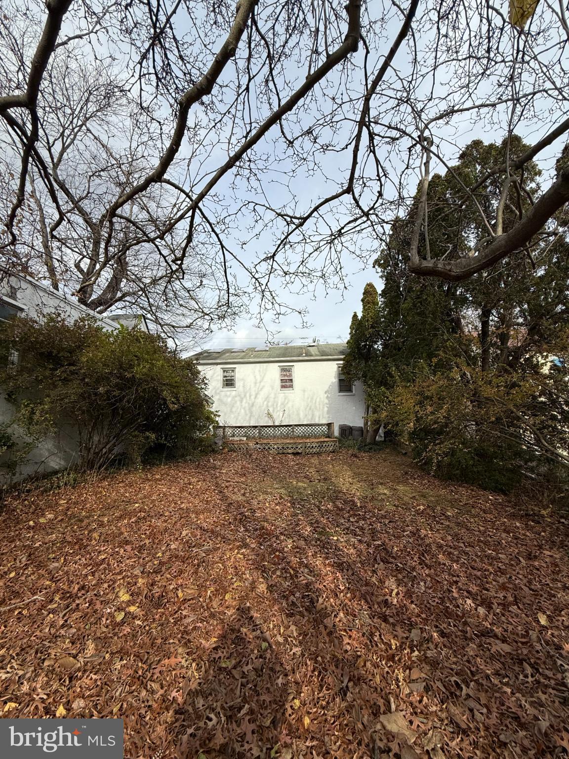 2732 Old Welsh Road Willow Grove, PA 19090 - Photo 17 of 18 a view of a yard with a tree