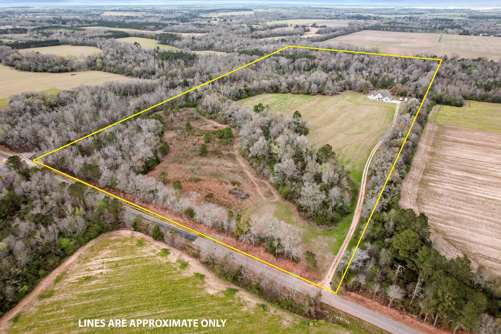 1335 Strong Road Ashford, AL 36312 - Photo 69 of 95