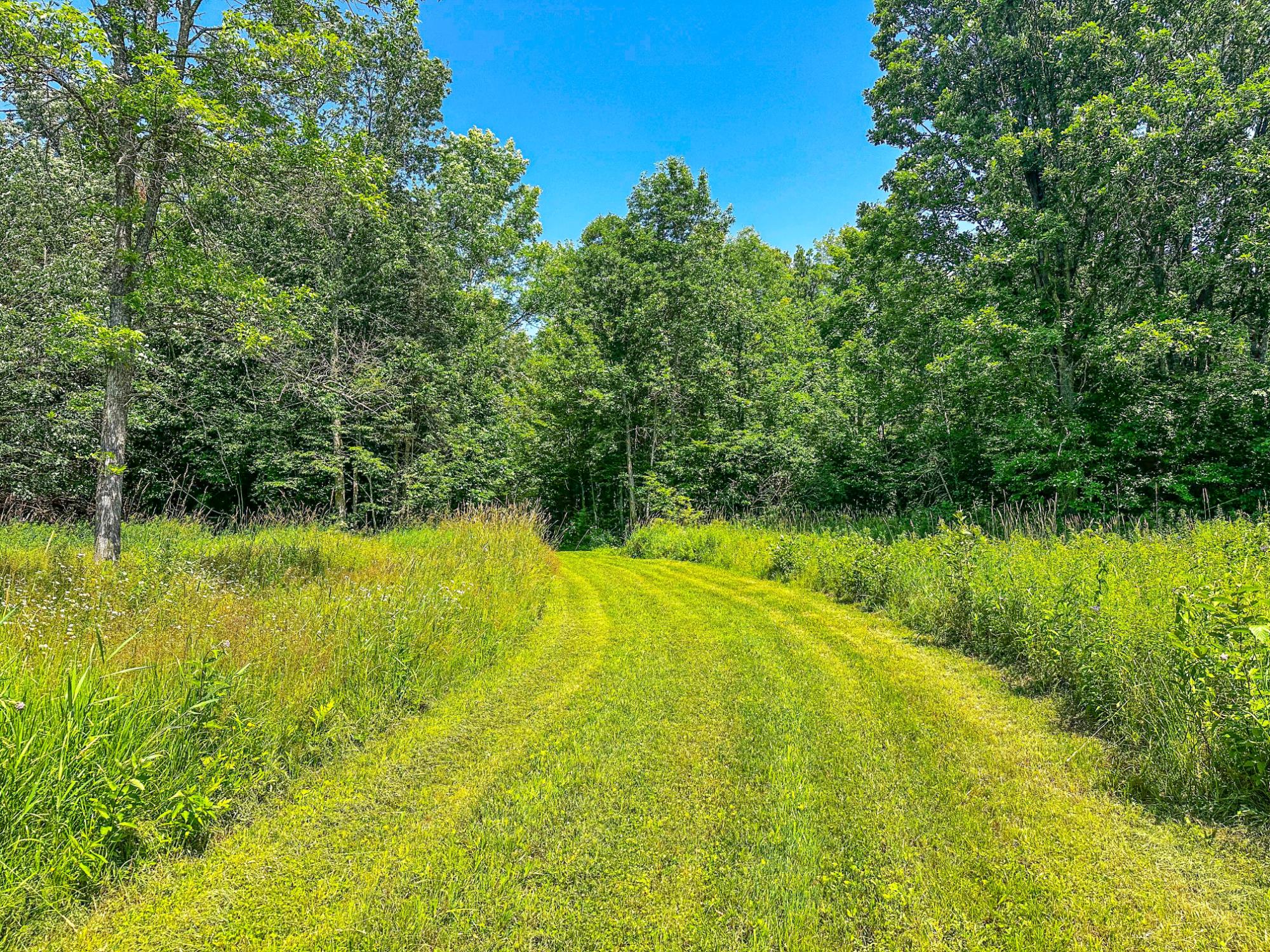N4102 Noll Road Kennan, WI 54537 - Photo 97 of 99 Gallery Image 97