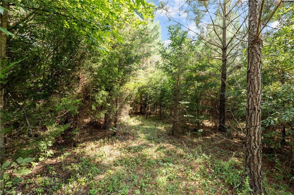 0 Holman Mill Road Snow Camp, NC 27349 - Photo 12 of 25 Gallery Image 12