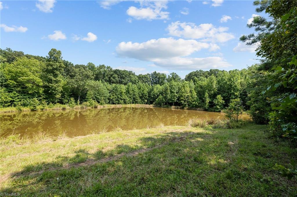 0 Holman Mill Road Snow Camp, NC 27349 - Photo 8 of 25 Gallery Image 8