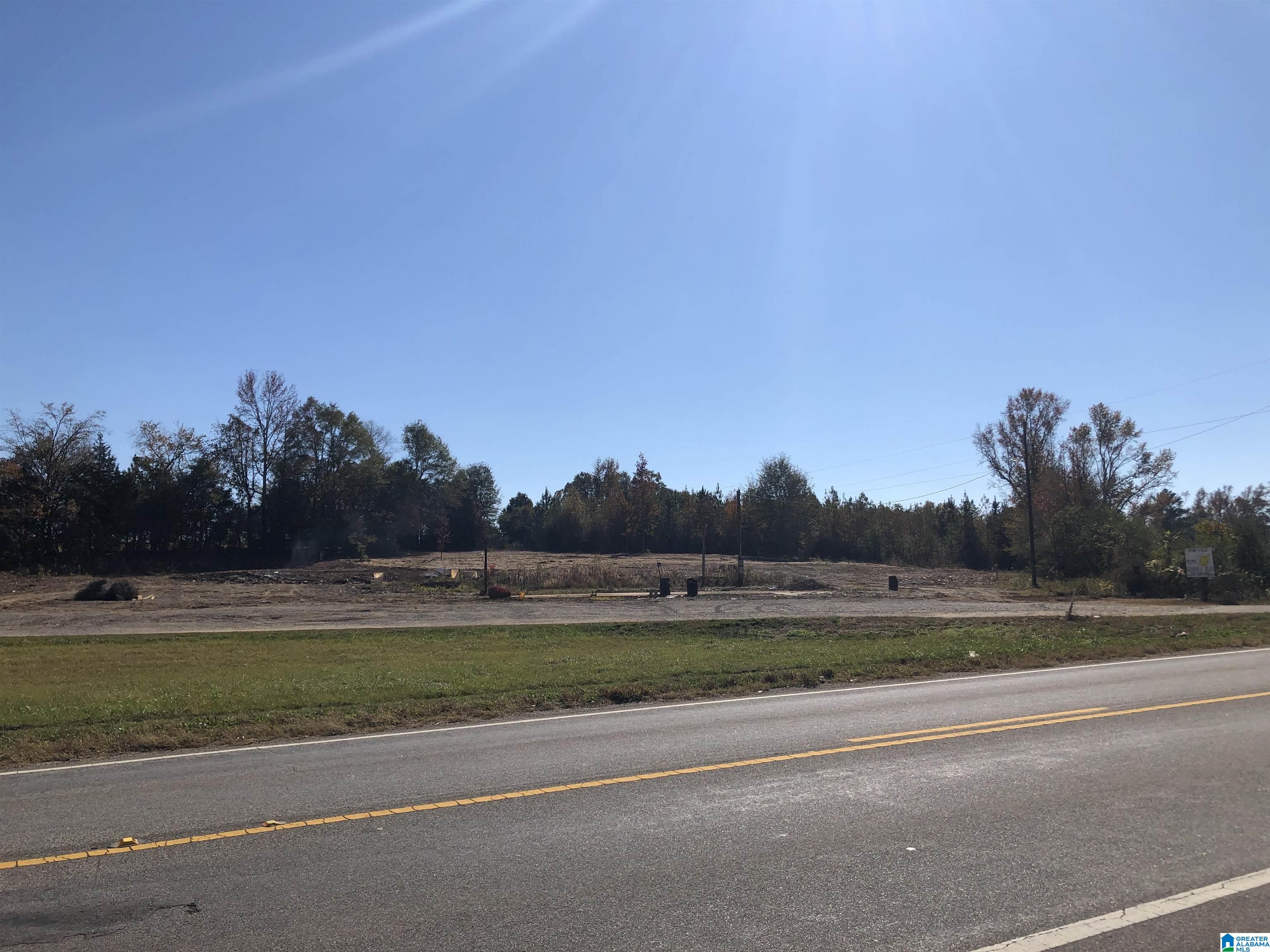 0 County Road 453, Unit 1 Clanton, AL 35046 - Photo 1 of 4