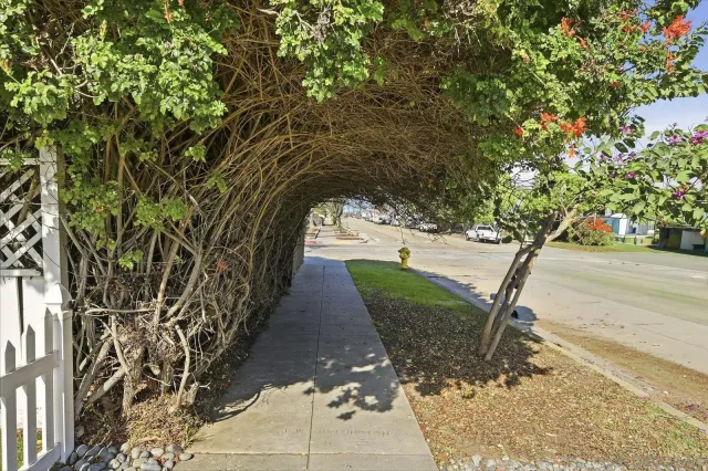 a view of a garden with pathway