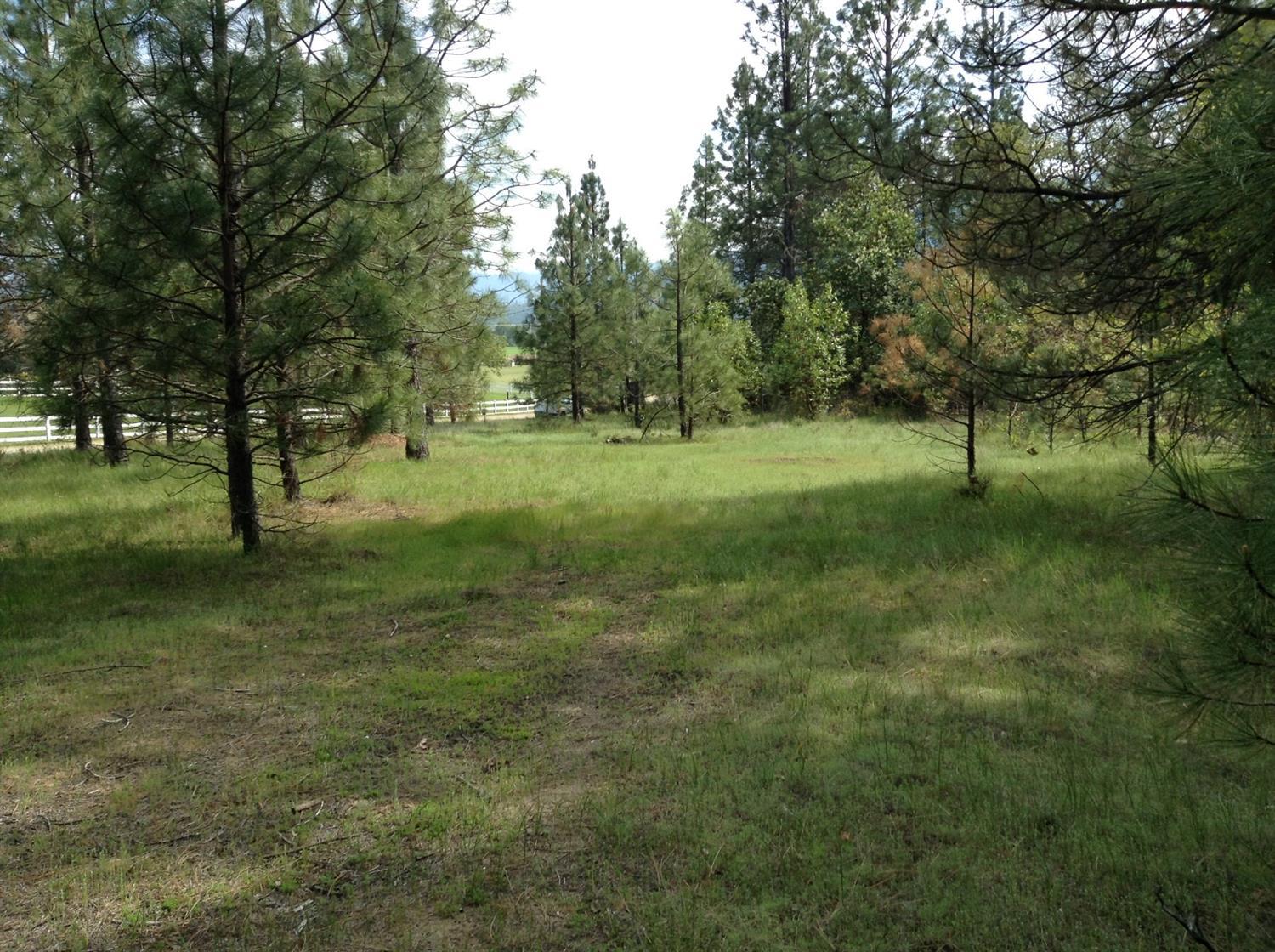 369 Ridgewood Drive Jacksonville, OR 97530 - Photo 11 of 12 Additional Photo