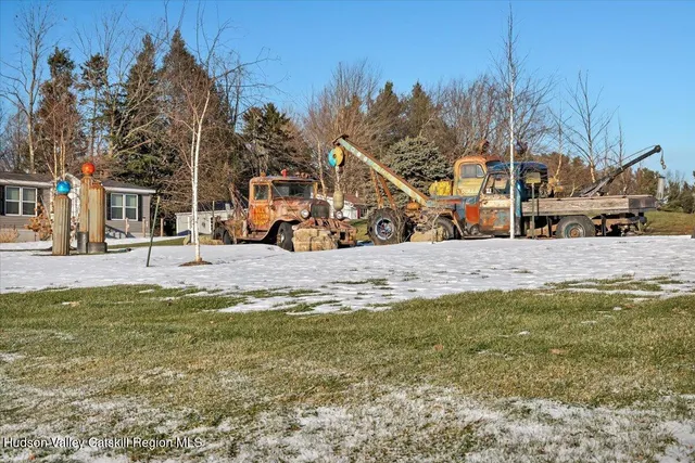 a row of tall trees with a house in the background