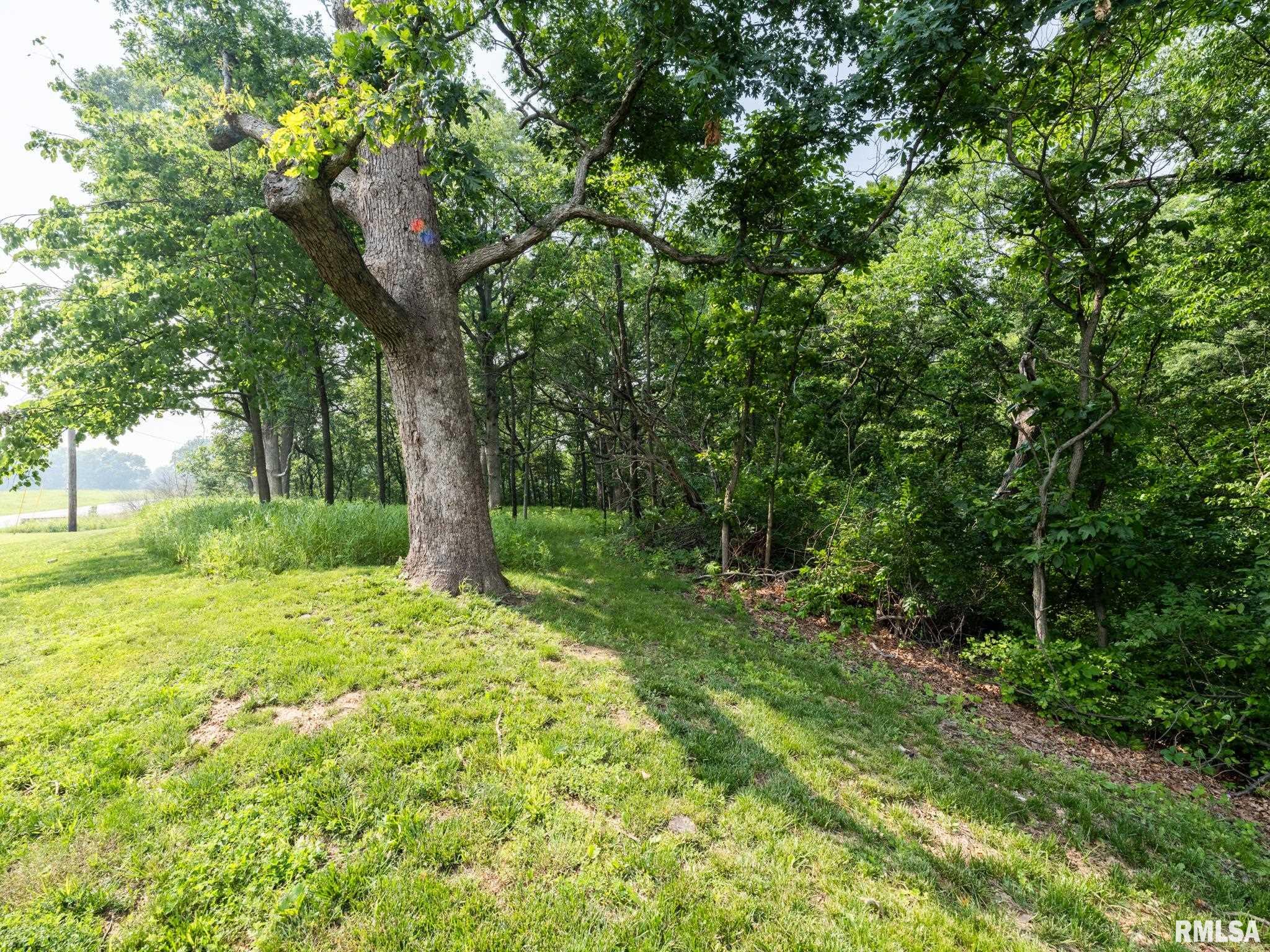 3041 Zion Oaks Road Pekin, IL 61554 - Photo 19 of 21