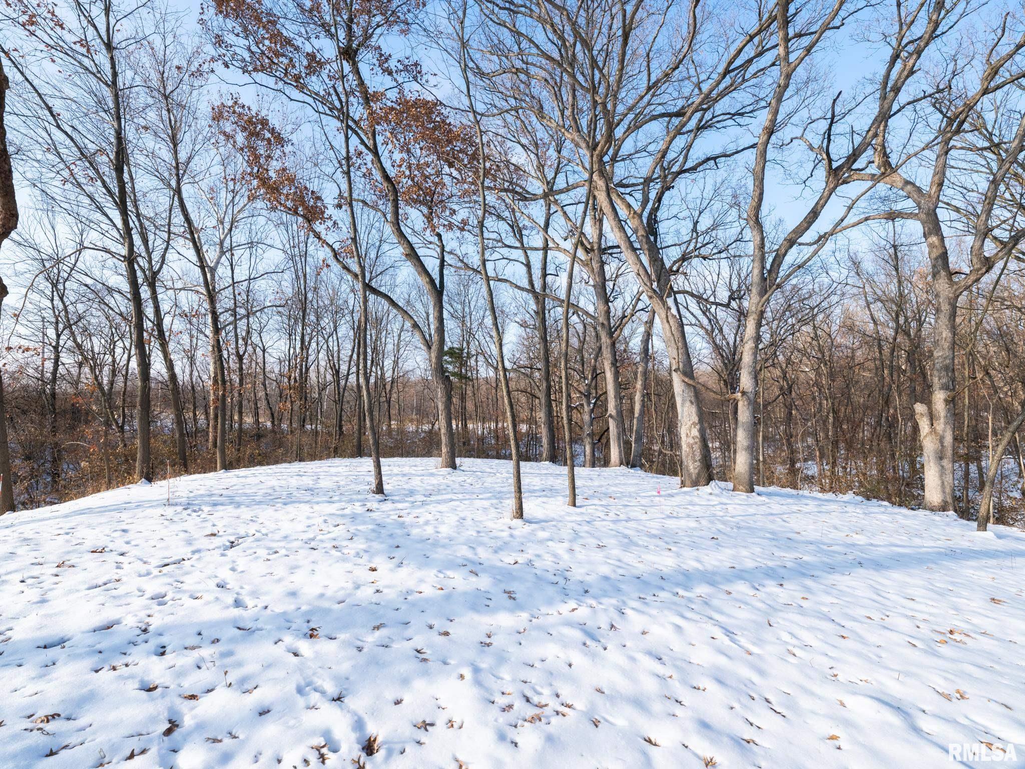 3041 Zion Oaks Road Pekin, IL 61554 - Photo 8 of 21