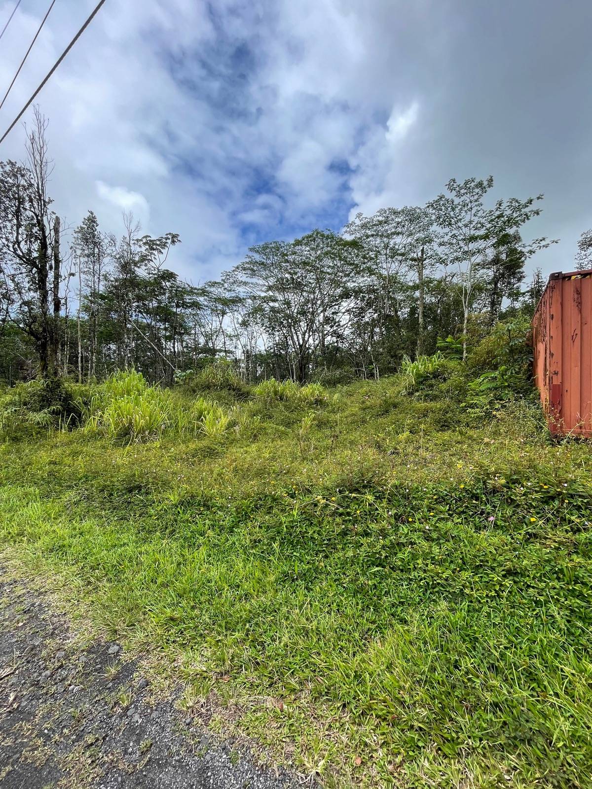 307 Pahoa Road Pahoa, HI 96778 - Photo 3 of 6 a view of a big yard with plants and large trees