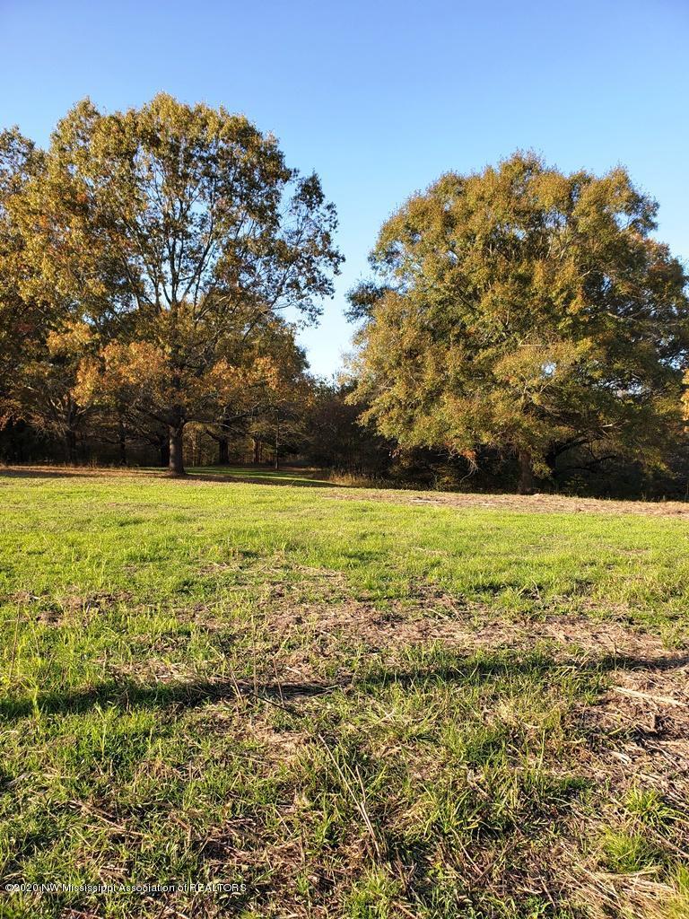 0 Cameron Road Senatobia, MS 38668 - Photo 3 of 6 20201113_151834