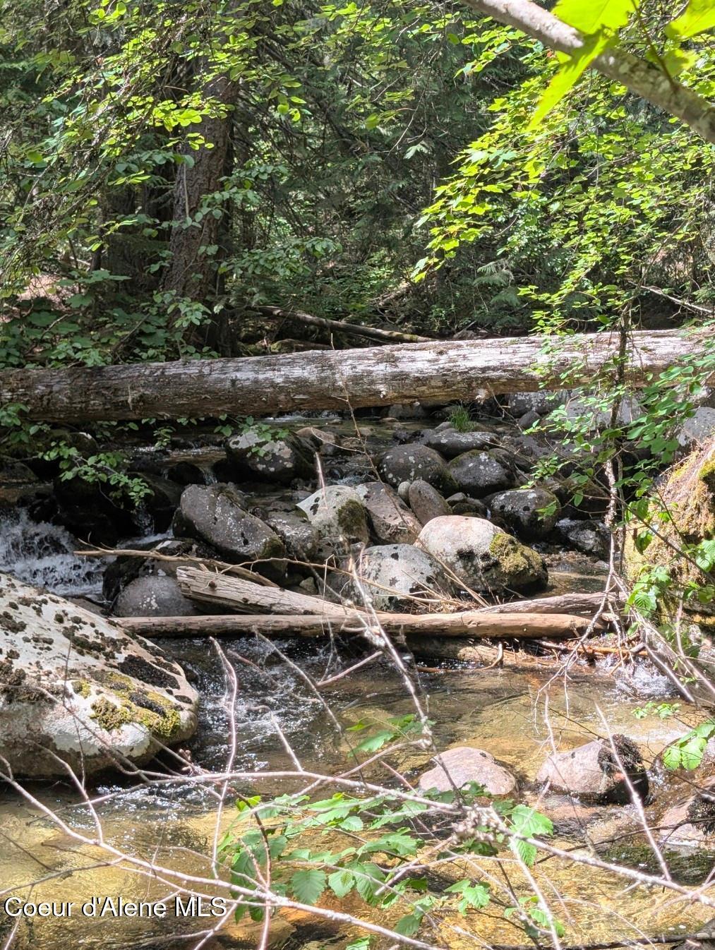 1628 Morris Road Naples, ID 83847 - Photo 6 of 36 Little waterfalls here and there