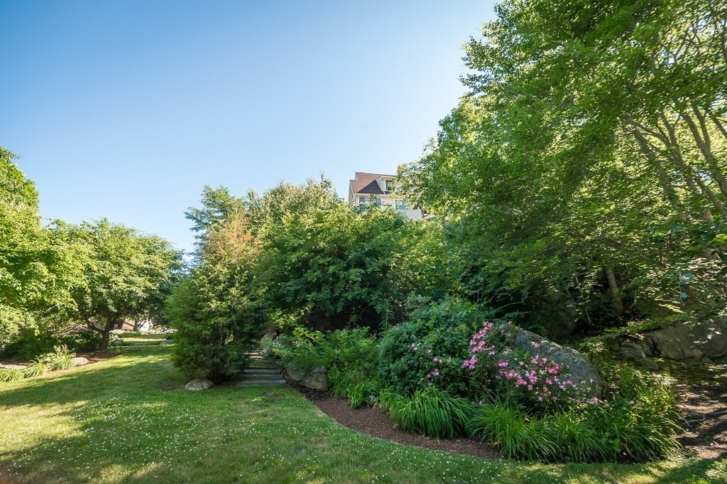 15 Cliff Road Gloucester, MA 01930 - Photo 37 of 42 a view of a garden with plants and large trees