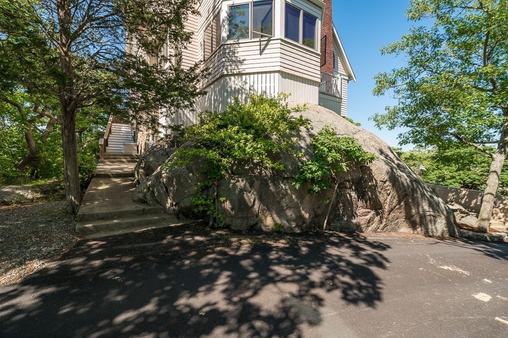 15 Cliff Road Gloucester, MA 01930 - Photo 39 of 42 a view of a yard with plants and trees