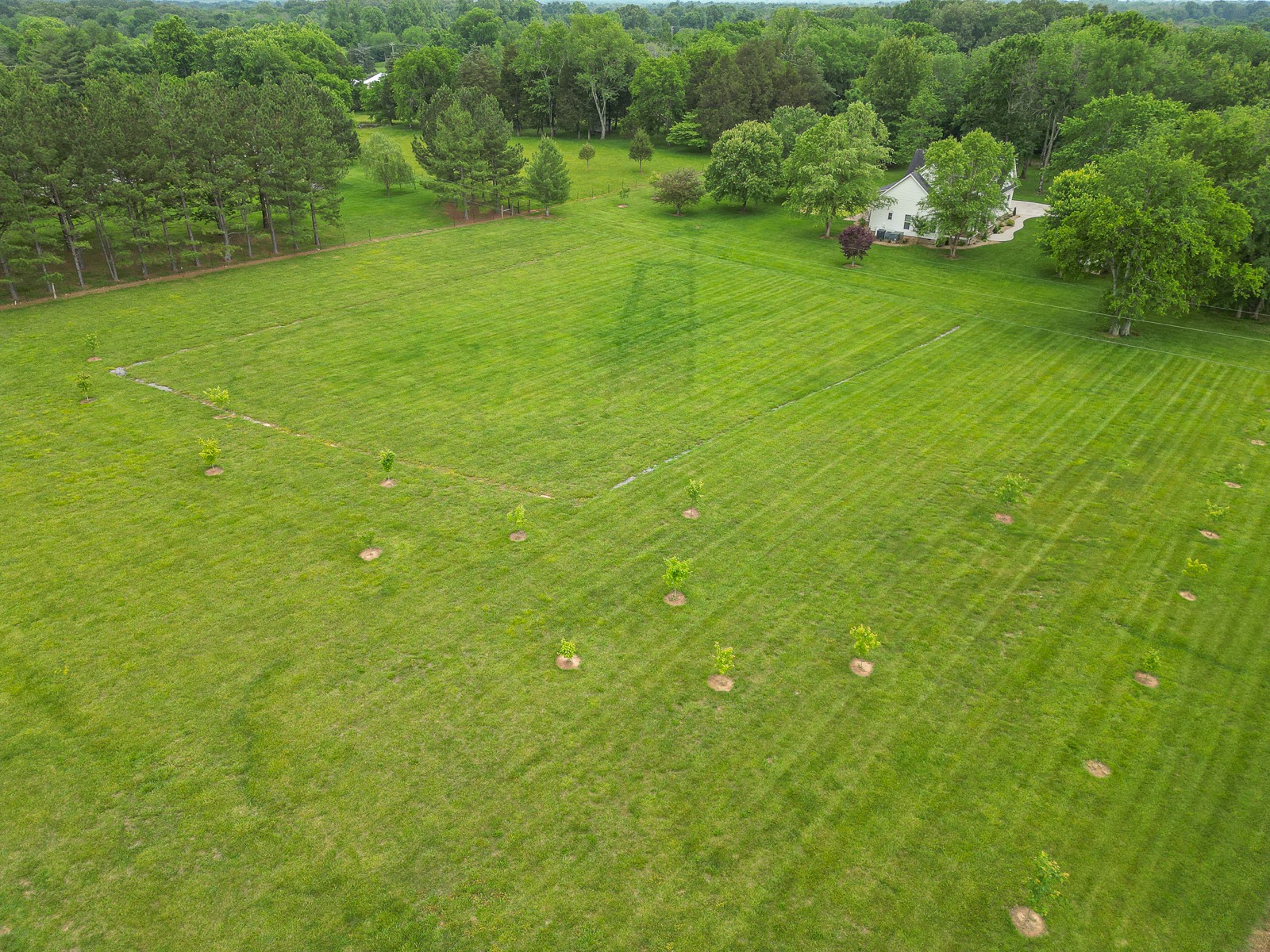 9251 Link Road Christiana, TN 37037 - Photo 4 of 40 a view of a green yard