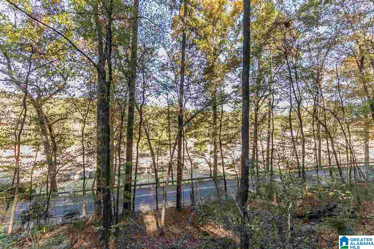 3385 Overbrook Road, Unit 109 Birmingham, AL 35213 - Photo 22 of 36