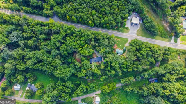 a view of a garden with a tree