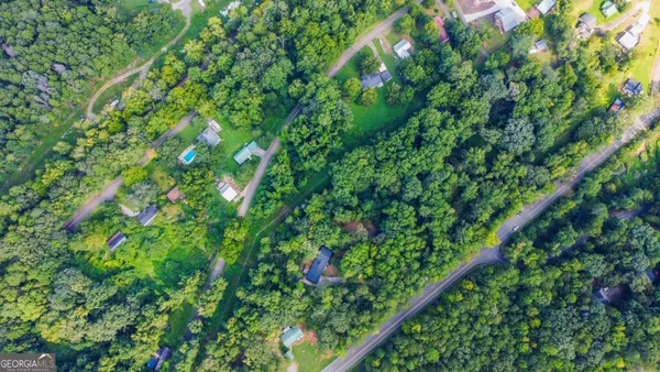 a view of a garden with a plant