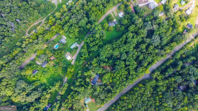 a view of a garden with a plant