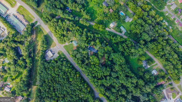 a close up of a plant