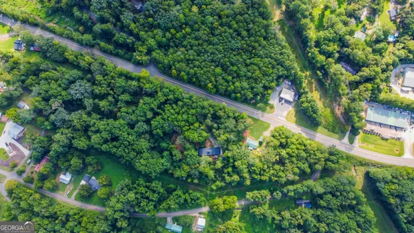 a close up of a tree