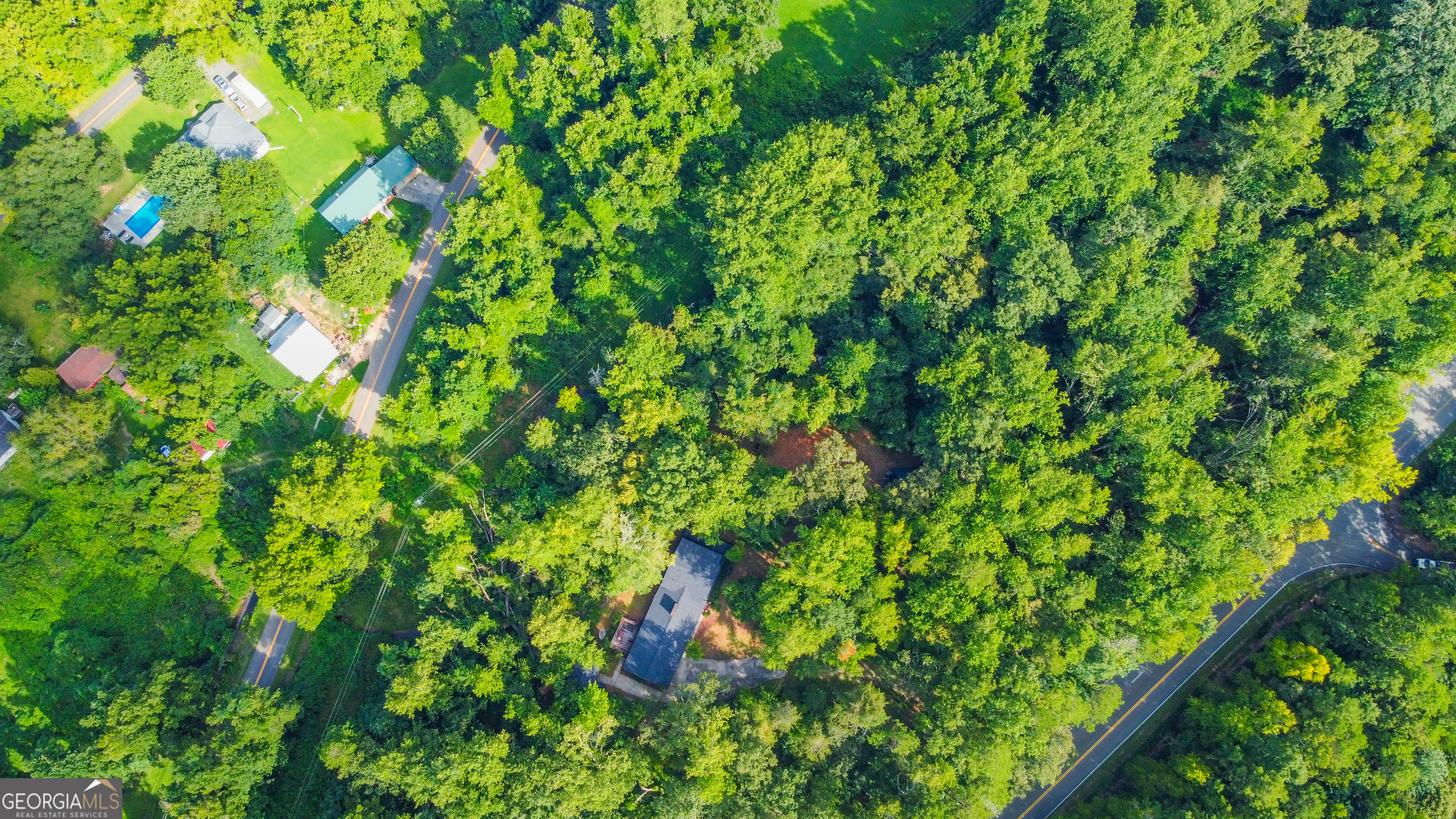 2063 Canton Road Nelson, GA 30143 - Photo 17 of 18 a backyard of a house with lots of green space