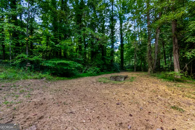 a backyard of a house with lots of green space