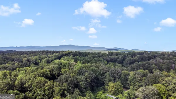 a view of a city with lush green forest