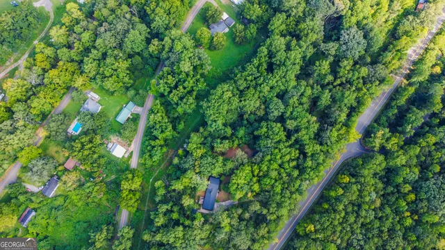 a view of a lush green plant