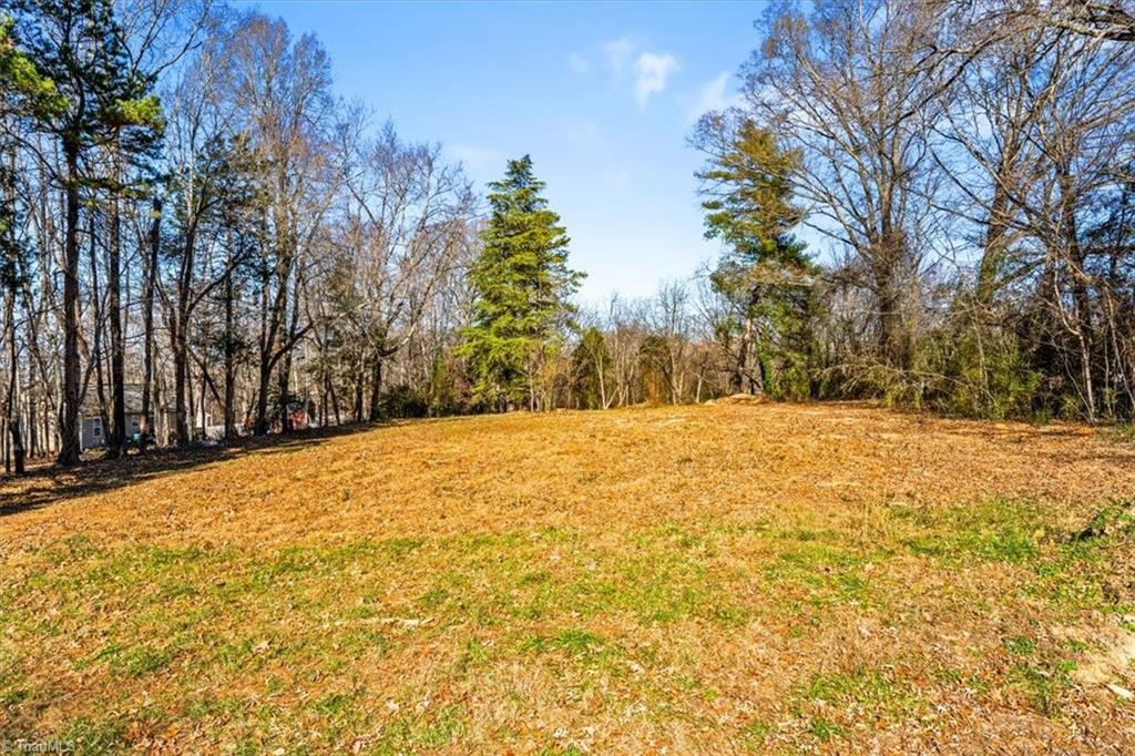 125 Albertson Road Thomasville, NC 27360 - Photo 10 of 26