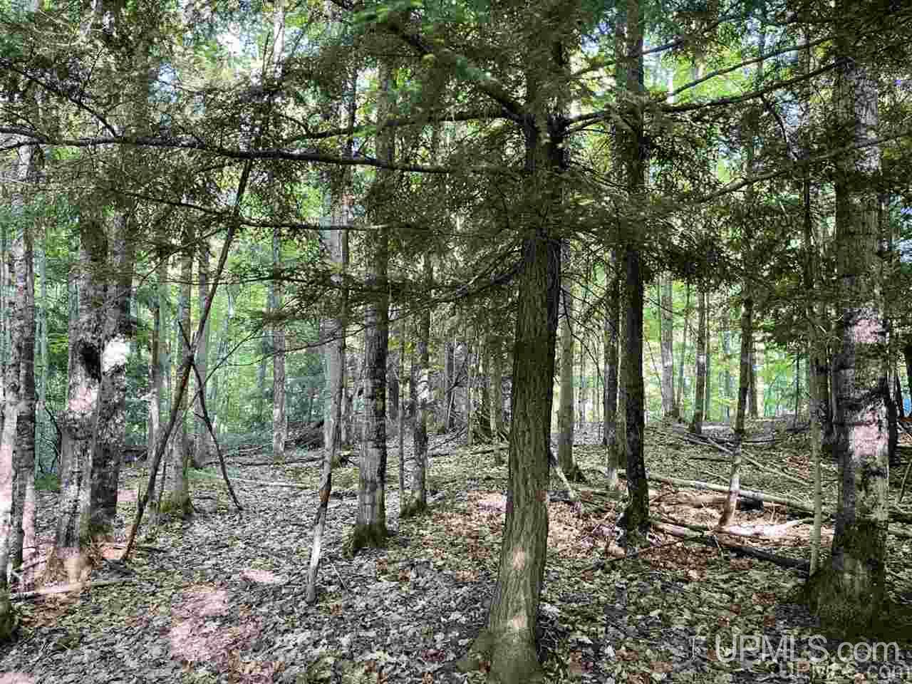Tbd Tbd Saari Road Lanse, MI 49946 - Photo 7 of 27