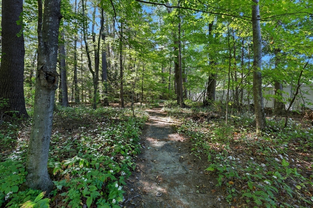 262 Loudville Road Easthampton, MA 01027 - Photo 37 of 42