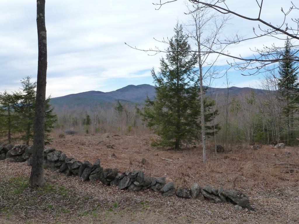 Lot 33 Durgin Road Center Tuftonboro, NH 03816 - Photo 17 of 22