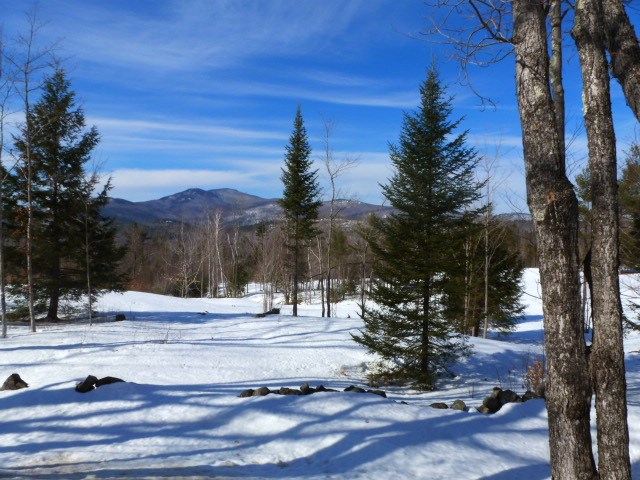 Lot 33 Durgin Road Center Tuftonboro, NH 03816 - Photo 18 of 22
