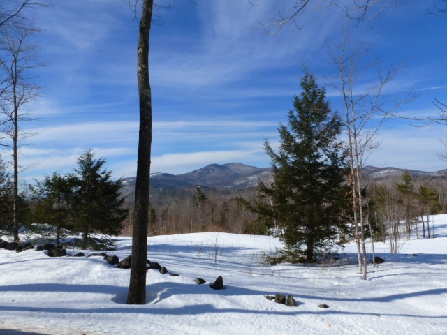Lot 33 Durgin Road Center Tuftonboro, NH 03816 - Photo 19 of 22